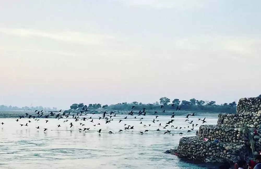 Neel Dhara Bird Sanctuary